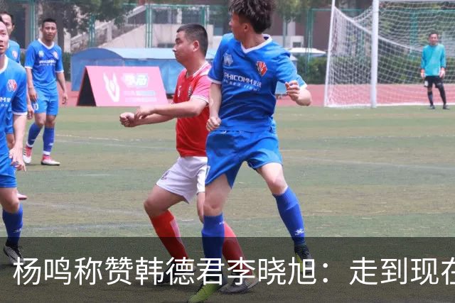 杨鸣称赞韩德君李晓旭：走到现在他们功不可没